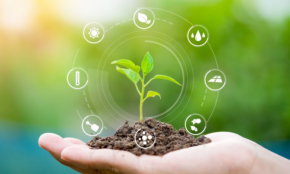 Las exportaciones de la industria agroalimentaria en Andalucía factura ...