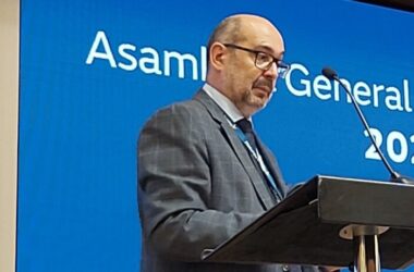 Julio Artiñano, presidente de Cogen España