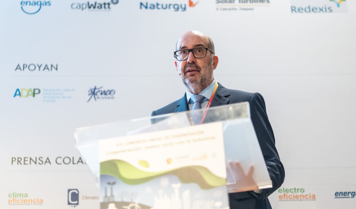 Julio Artiñano, presidente de Cogen España