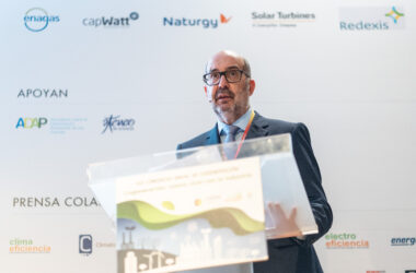 Julio Artiñano, presidente de Cogen España
