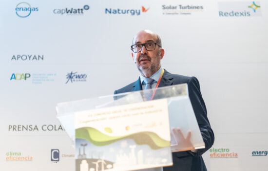 Julio Artiñano, presidente de Cogen España