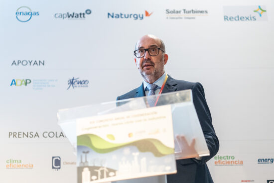 Julio Artiñano, presidente de Cogen España