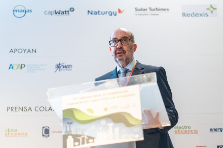 Julio Artiñano, presidente de Cogen España