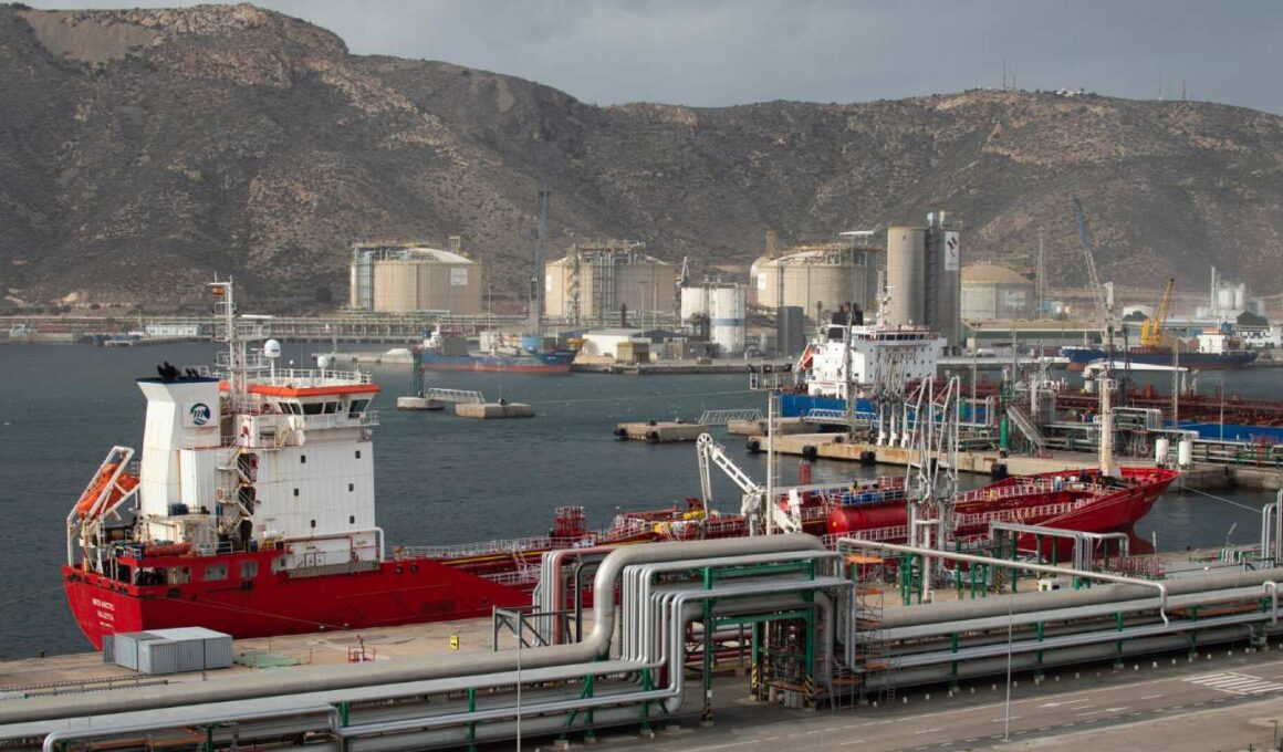 La dársena industrial del Valle de Escombreras, en Cartagena (Murcia): un ecosistema en el que conviven Repsol, Exolum y Sabic. Firma: Repsol