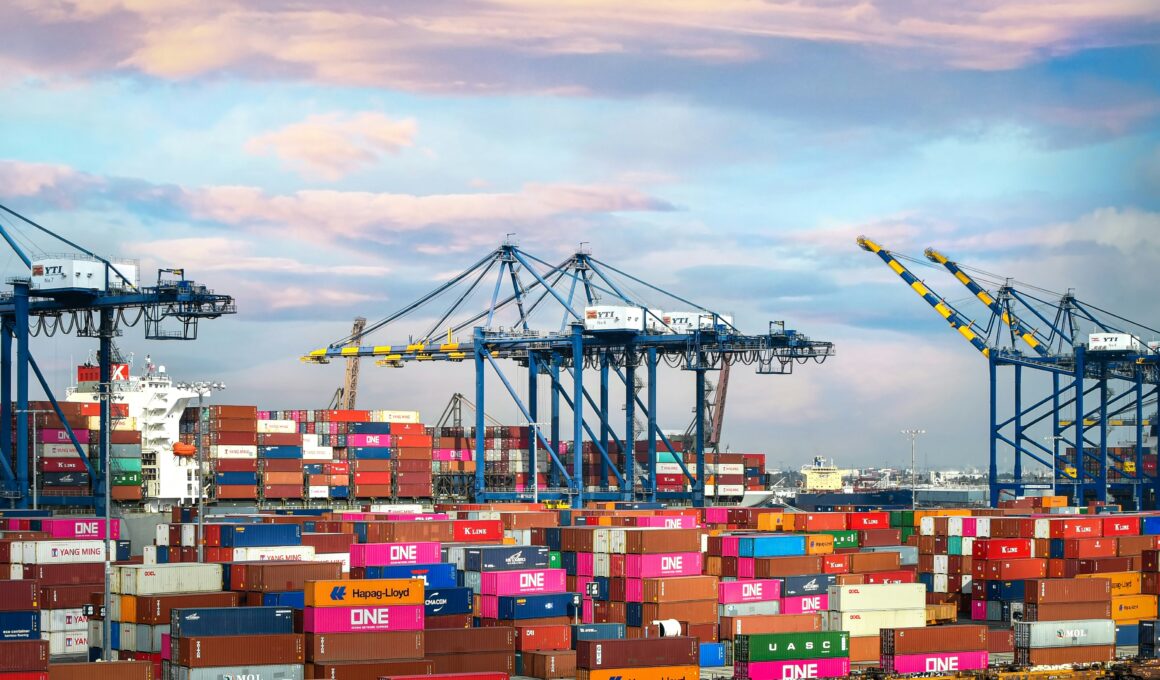 Terminal de contenedores en el Puerto de Los Ángeles (EEUU), uno de los principales destinos en el Pacífico para los buques de carga españoles que cruzan el Canal de Panamá. Firma: industry TALKS